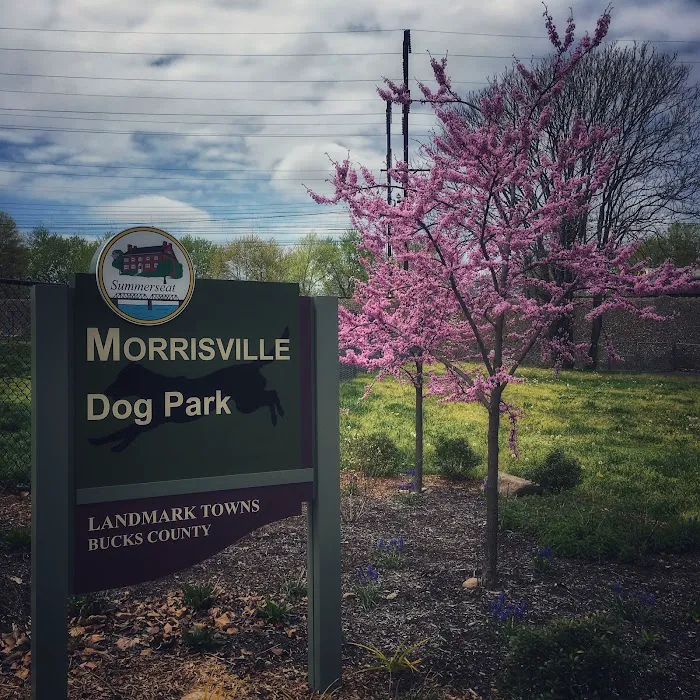Morrisville Dog Park 5