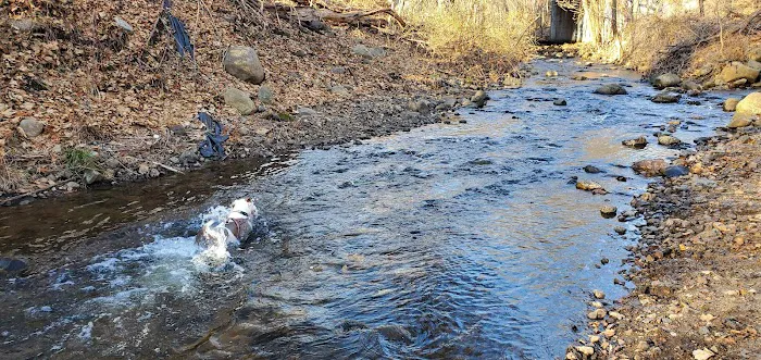 North Haledon Dog Park 7