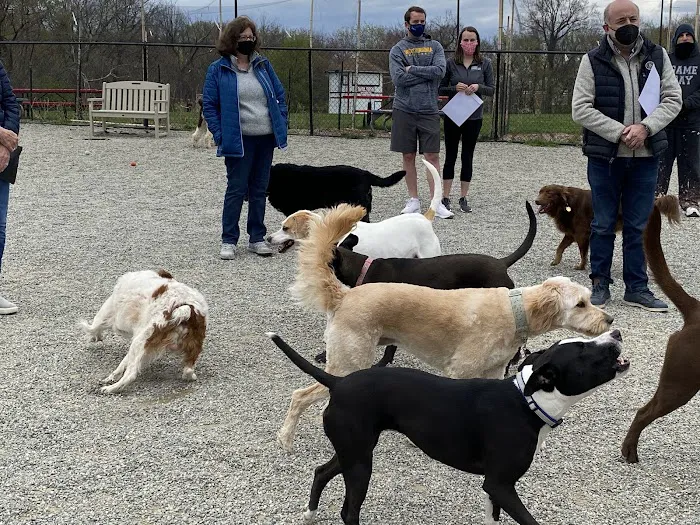 Glen Rock NJ Dog Park 5