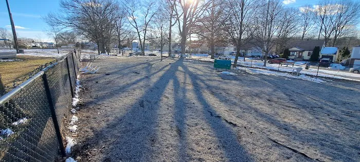 Maywoof Dog Park 2