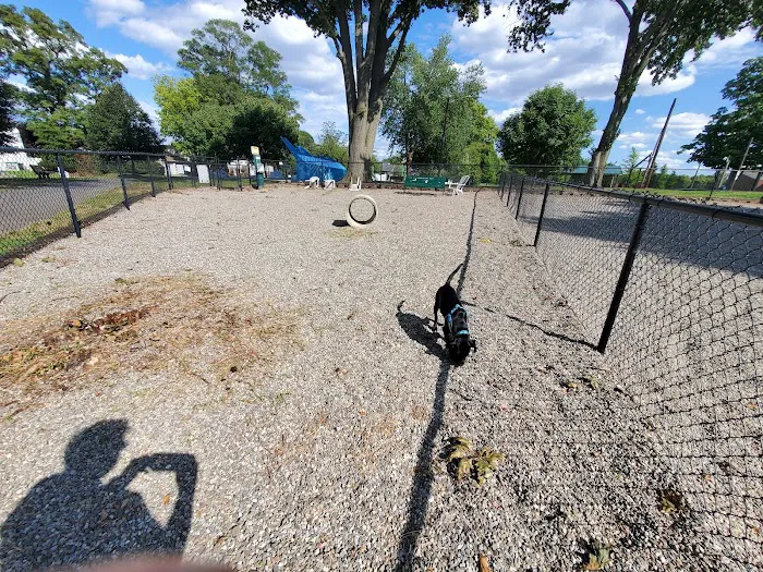 Maywoof Dog Park 10