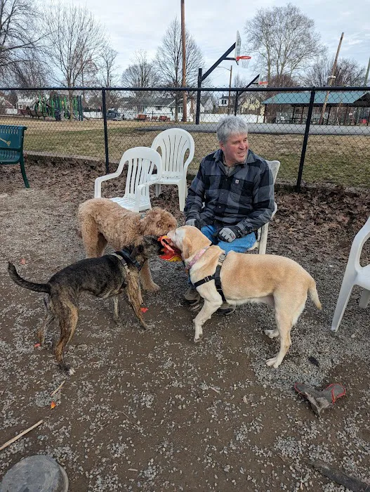 Maywoof Dog Park 9