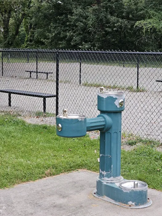 Phelps Park Dog area 1
