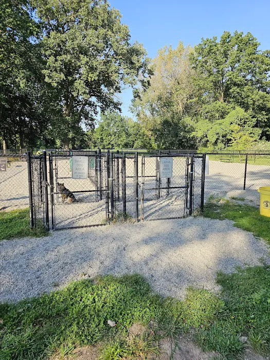 Phelps Park Dog area 5
