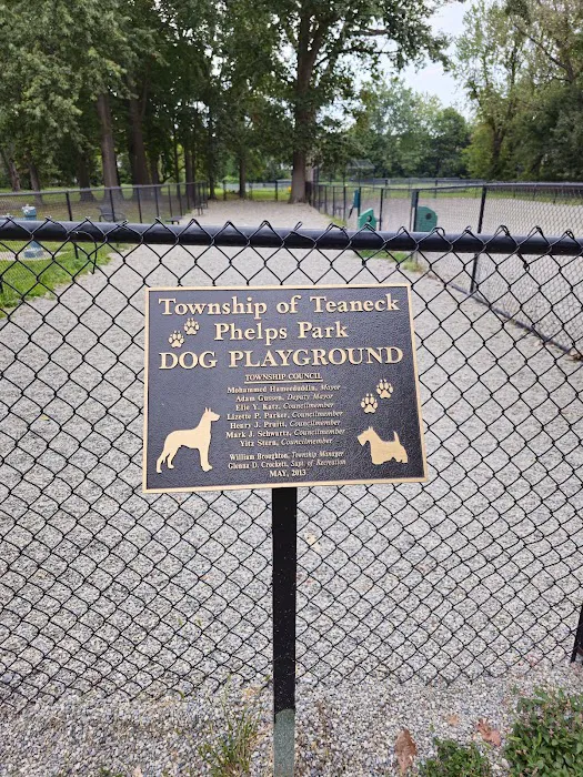 Phelps Park Dog area 2