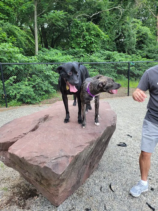 Bergenfield Dog Park 4