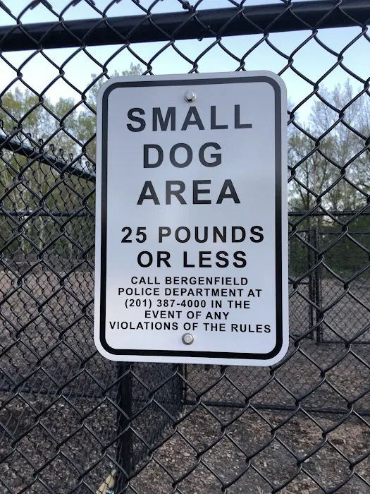 Bergenfield Dog Park 6