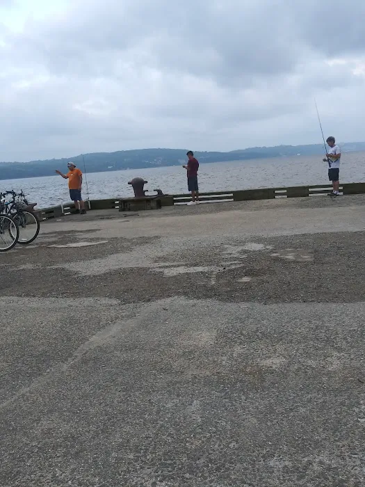 Piermont Community Dog Run 4