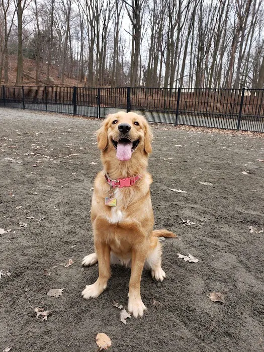 Van Saun Dog Park 10