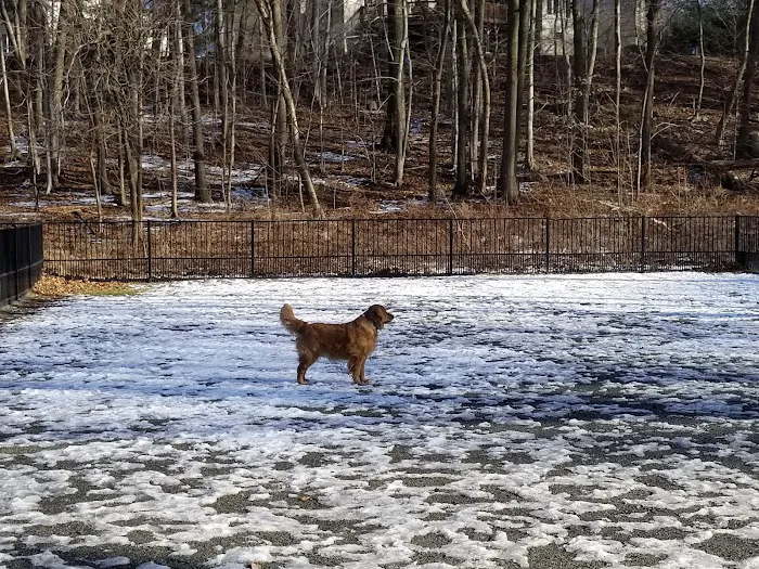 Van Saun Dog Park 1