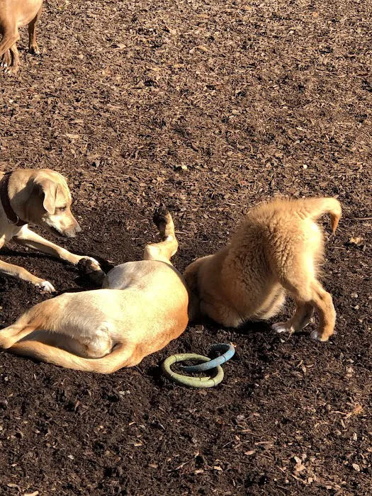 West Woof Dog Park 6