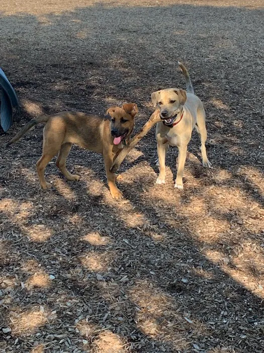 West Woof Dog Park 9