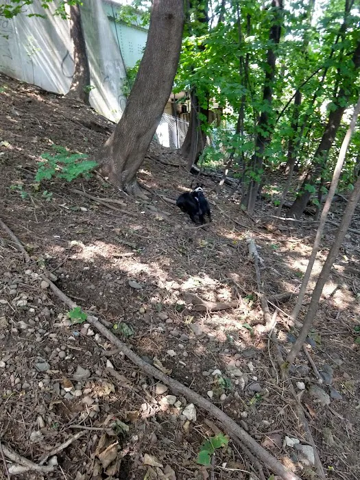 Elizabeth Place Dog Park 1
