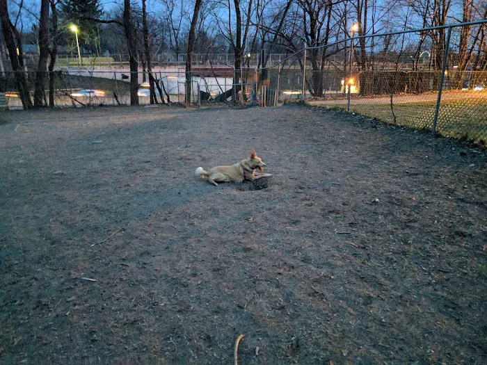 Elizabeth Place Dog Park 5
