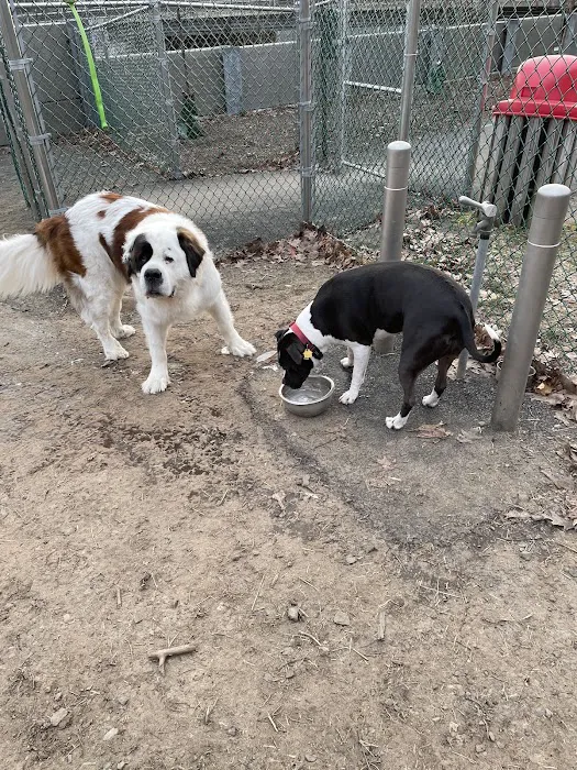 Elizabeth Place Dog Park 9