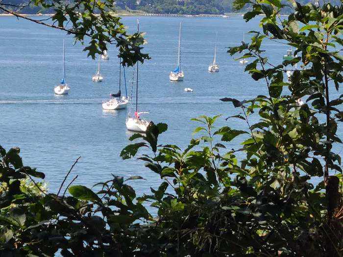 Port Jefferson Dog Beach 3
