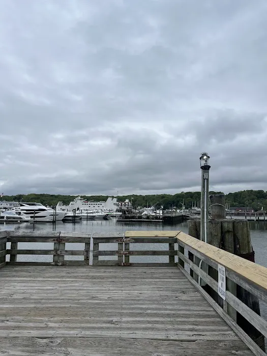 Port Jefferson Dog Beach 8