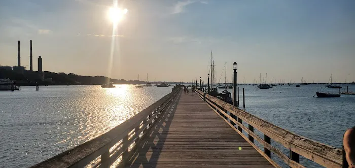 Port Jefferson Dog Beach 10