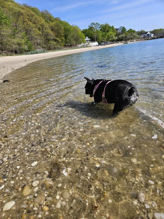 Port Jefferson Dog Beach 2