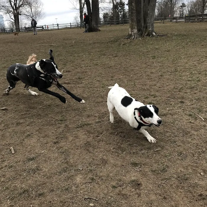 Spencer's Run 8