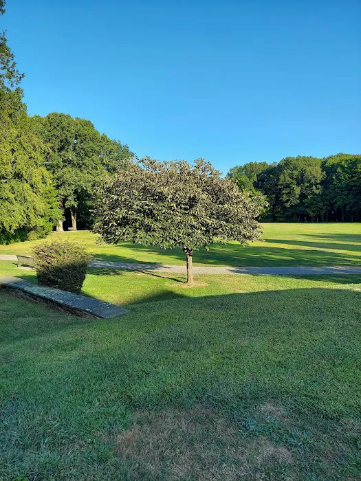 Cranbury dog park 5