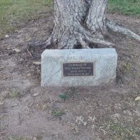 Cranbury dog park ico