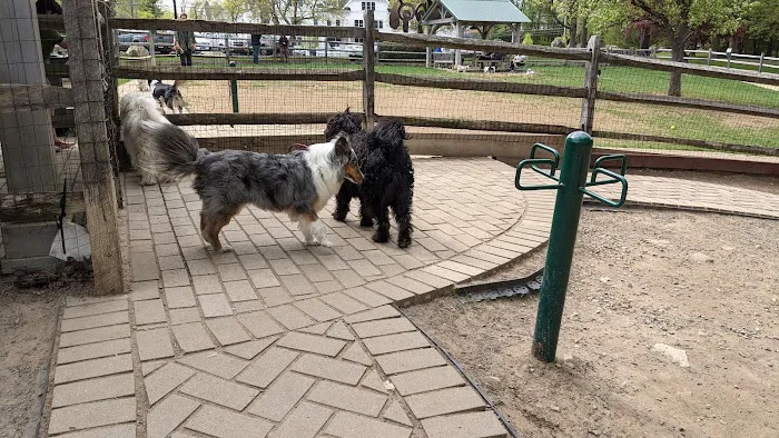 Bark Park Dog Park 1