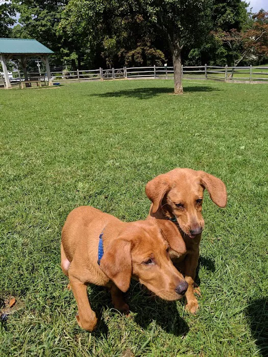 Bark Park Dog Park 7