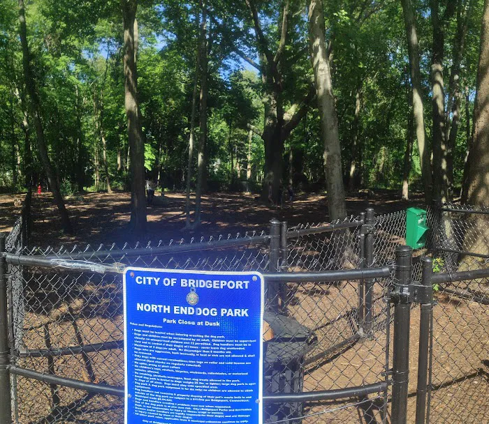 Veteran's Dog Park 7
