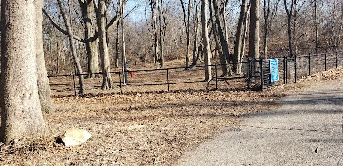 Veteran's Dog Park 1