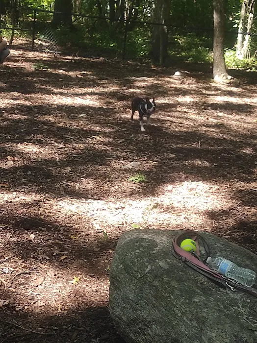 Veteran's Dog Park 10