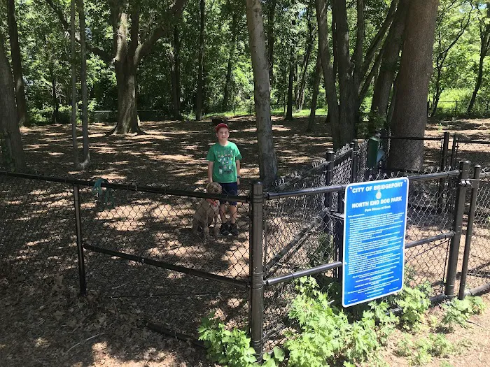 North End Dog Park 6
