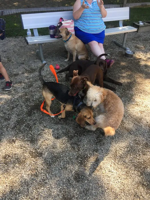 Easton Dog Park 5