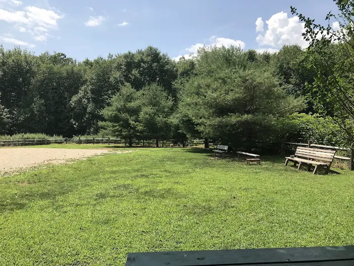 Easton Dog Park 4