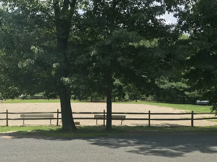 Easton Dog Park 3