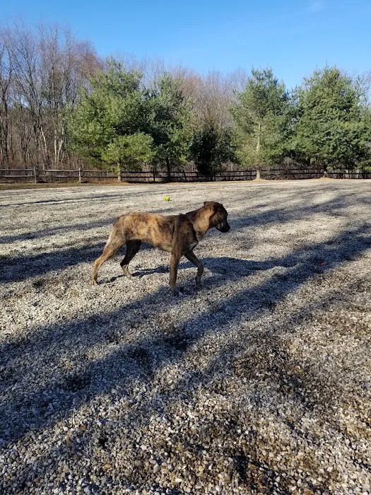 Easton Dog Park 2