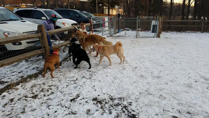 Easton Dog Park 9