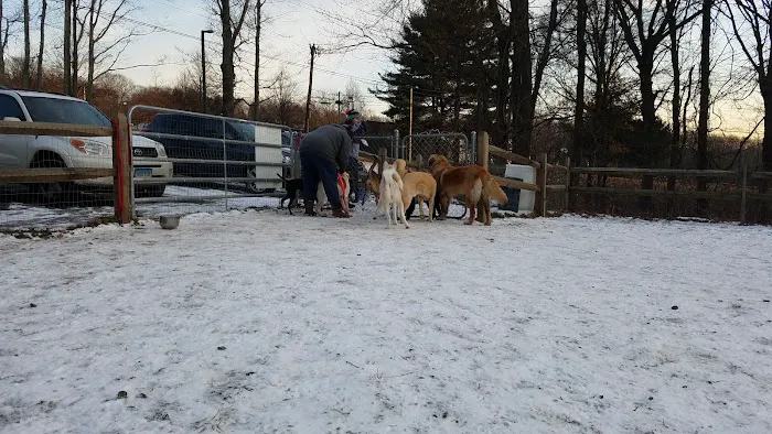 Easton Dog Park 6