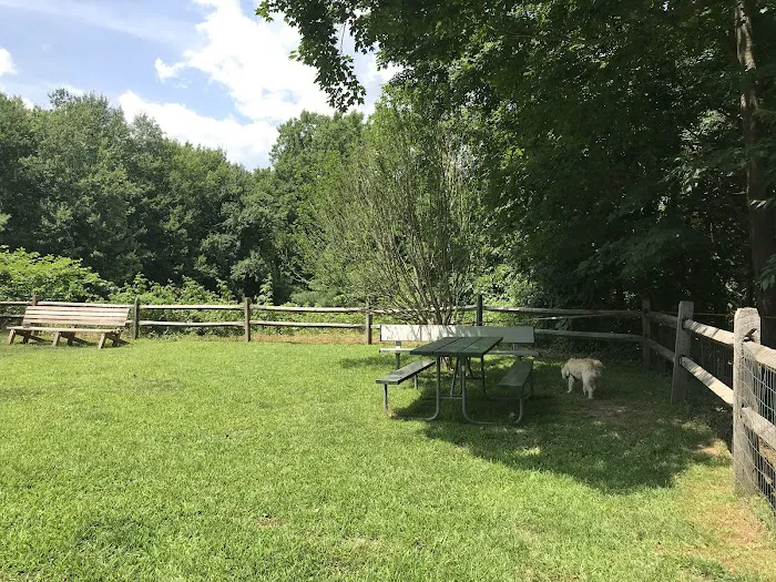 Easton Dog Park 8