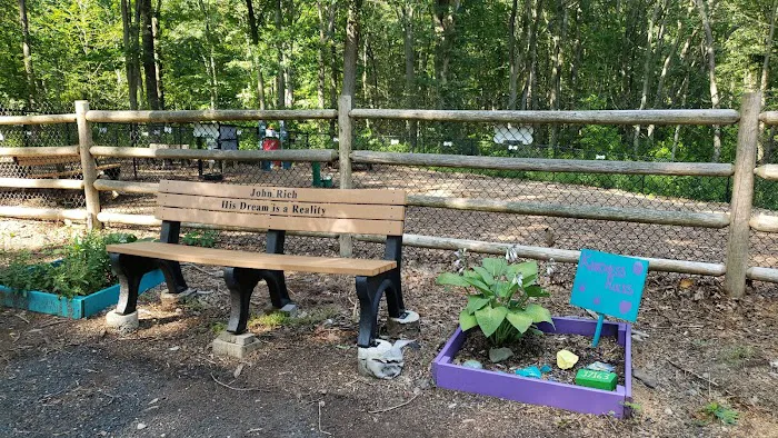 Jared's Dog Park 4