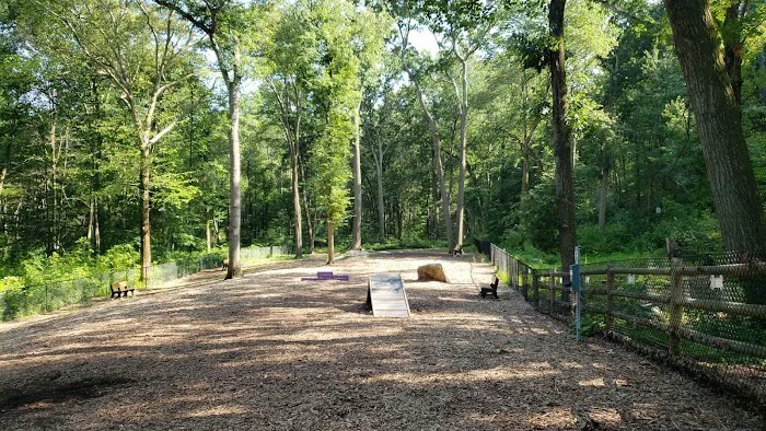 Jared's Dog Park 2