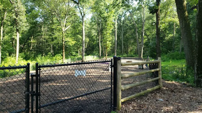 Jared's Dog Park 6