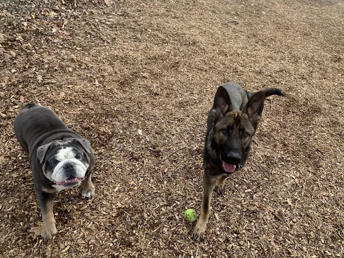 Clarkstown’s K-9 Corrals 8