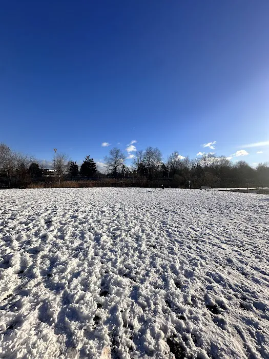 Orangetown Dog Park 2