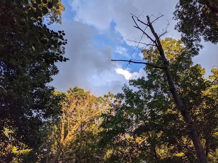 Ossining Dog Park 10
