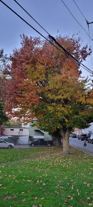 Ossining Dog Park 9