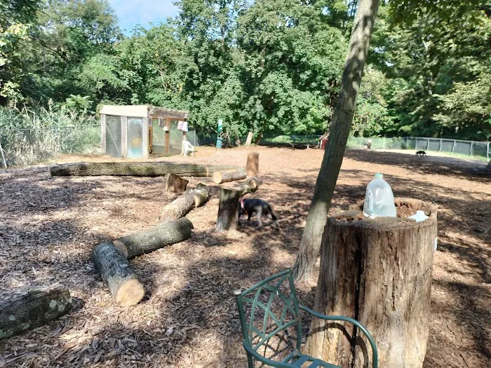 Ossining Dog Park 8