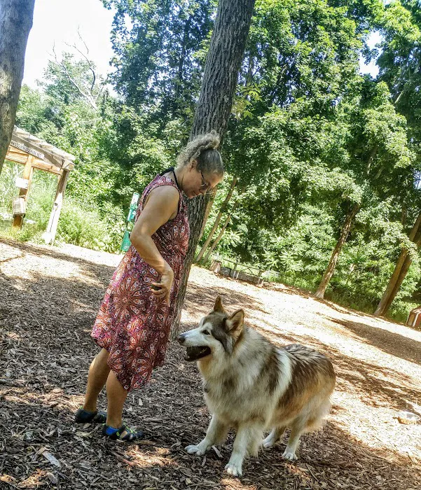 Ossining Dog Park 1
