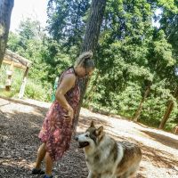 Ossining Dog Park ico