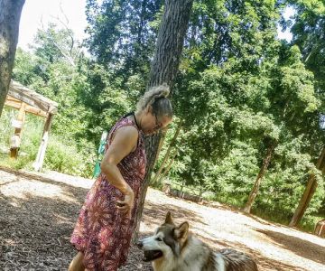 Ossining Dog Park